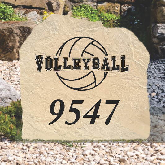 Volleyball