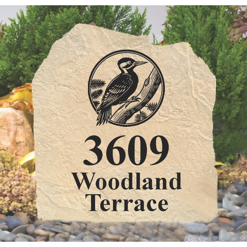 Woodpecker