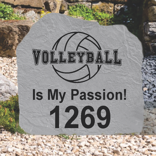 Volleyball
